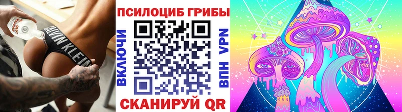 что такое наркотик  Ревда  ссылка на мегу рабочий сайт  Галлюциногенные грибы Psilocybine cubensis 